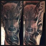Black and grey fawn tattoo by Lee Sheehan. #blackandgrey #realism #deer #fawn #babyanimal #LeeSheehan