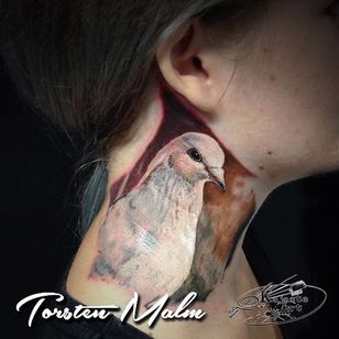 Tatuaje de cuello de paloma de Torsten Malm.  #realismo #farverealismo #fugl #due #hals #TorstenMalm