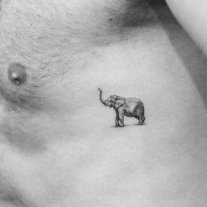 Tiny elephant tattoo by Evan Kim #elephant #linework #dotshading #blackwork #evantattoo #evankim #West4Tattoo #nyc