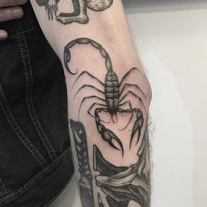 Scorpion Tattoo by Gabriele Cardosi #scorpion #scorpiontattoo #singleneedle #singleneedletattoo #fineline #finelinetattoo #finelinetattoos #blackandgrey #GabrieleCardosi