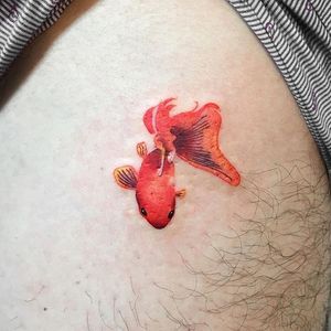Goldfish Tattoo by Zihee #goldfish #goldfishtattoo #contemporarytattoos #contemporary #moderntattoos #color #colorfultattoo #abstract #graphic #korean #southkorean #Zihee
