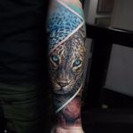 Leopard by Sandra Daukshta #SandraDaukshta #color #realism #realistic #hyperrealism #leopard #leopardprint #nature #junglecat #abstract #cat #tattoooftheday