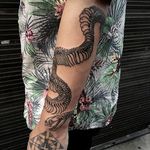 Snake by Oozy Tattoo (via IG-oozy_tattoo) #death #macabre #dotwork #illustrative #fineline #OozyTattoo