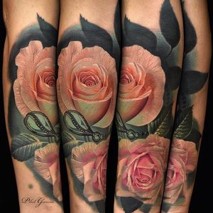 A pair of lovely pink roses by Phil Garcia (IG—philgarcia805). #color #flowers #PhilGarcia #realism #roses