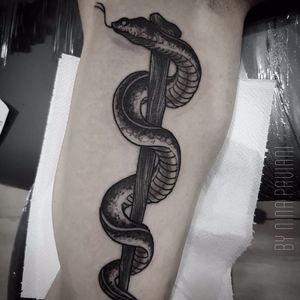 Símbolo da medicina por Nina Paviani! #NinaPaviani #tatuadorasbrasileiras #tatuadorasdobrasil #tattoobr #tattoodobr #snake #cobra #medicina #medicine