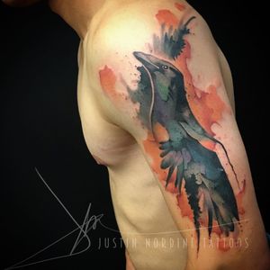 Just take a second to appreciate the saturation in this glorious bird.  (Via IG - justinnordinetattoos) #Bird #justinnordine #watercolor #art #nature