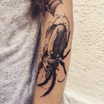 Beetle tattoo by Kevin Plane #KevinPlane #sketchstyle #sketch #blackwork #beetle #insect