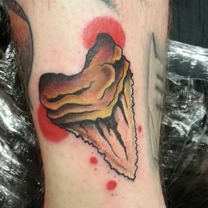 Shark Tooth Tattoo by Ben Ayers #sharktooth #shark #filler #gapfiller #BenAyers