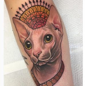 Cat tattoo by Stephanie Melbourne #StephanieMelbourne #neotraditional #colour #cat #kitten