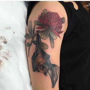 Waratah and fruit bat tattoo by Ellie Thompson. #megabat #fruitbat #bat #flower #waratah #flower #EllieThompson