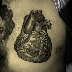 Super fine lines by fine tattoo artist Nazar Butvovski #linework #fine #outline #heart #anatomicalheart #blackwork #nazarbutvovski