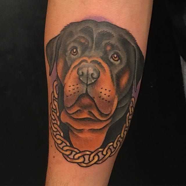 Tattoo uploaded by Stacie Mayer • Traditional style rottweiler tattoo by  Jeffrey Scott. #dog #rottweiler #traditional #JeffreyScott • Tattoodo