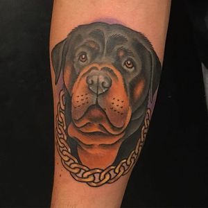 Traditional style rottweiler tattoo by Jeffrey Scott. #dog #rottweiler #traditional #JeffreyScott
