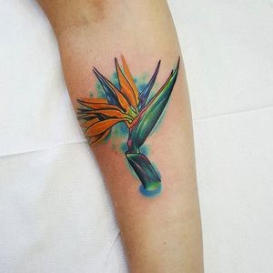 Bright and bold bird of paradise tattoo by @stevectattooing. #birdofparadise #craneflower #flower #neotraditional #stevectattooing