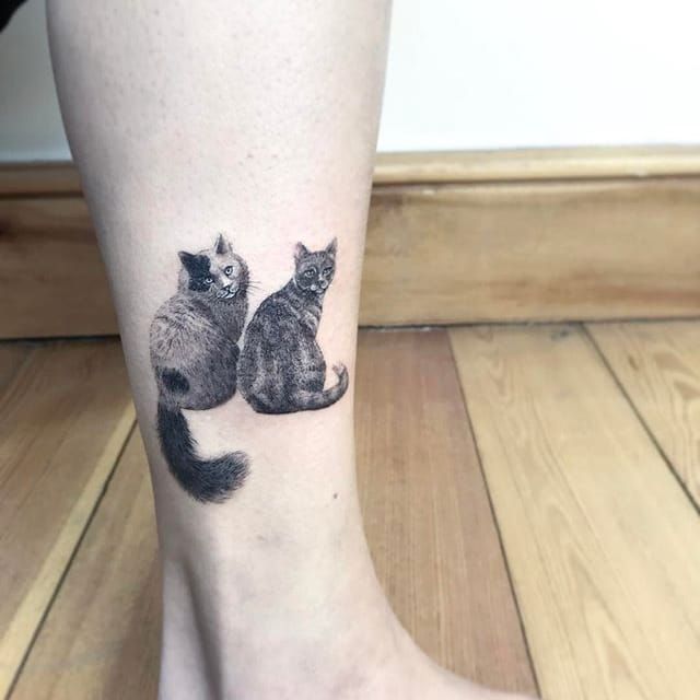 electric cat scratch tattooTikTok Search