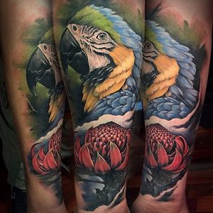 Parrot and warath tattoo by Benjamin Laukis. #realism #colorrealism #BenjaminLaukis #parrot #bird #waratah #flower