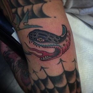 Snake Tattoo by Joe Tartarotti #snake #traditional #traditionalartist #oldschool #vinatge #classic #Italianartist #JoeTartarotti
