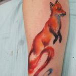 Brush stroke watercolor fox by Smel Wink. #watercolor #SmelWink #fox #brushstroke