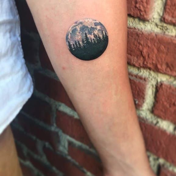 Pin by Renee Quick on Creativity  Pine tattoo Pine tree tattoo Nature  tattoos