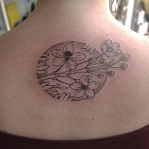 Dotwork cherry blossom tattoo by Alex Cfourpo. #linework #blackwork #AlexCfourpo #flower #dotwork #cherryblossom