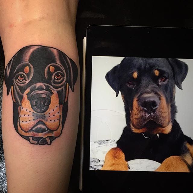 Mornee Tattoos   Merci Ryan  rottweiler rottweilertattoo tattoo  tatt tattoocolor neotrad dog dogtattoo animaltattoo doglovers   Facebook