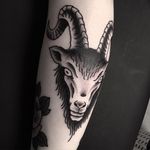 Blackwork Goat Tattoo by Ville Hautala #goat #goattattoo #goattattoos #blackworkgoat #blackworkgoattattoo #blackworkgoattattoos #animaltattoo #blackink #blackworktattoos #blackwork #VilleHautala