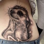 Black and grey realism meerkat tattoo by Morgan Rose Gray. #realism #blackandgrey #meerkat #MorganRoseGray