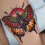 Butterfly Tattoo by Herb Auerbach #traditional #colortraditional #HerbAuerbach