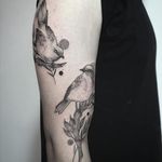 Bird tattoos by Gabriela Arzabe Lehmkuhl. #GabrielaArzabe #GabrielaArzabeLehmkuhl #blackwork #dotwork #pointillism #bird