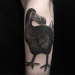 Dodo Tattoo #blackwork #blackink #linework #blacktattoos #AlexSnelgrove #dodo #bird
