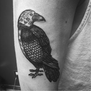 Raven tattoo by Liz Kim #blackwork #linework #dotwork #raven #lizkim