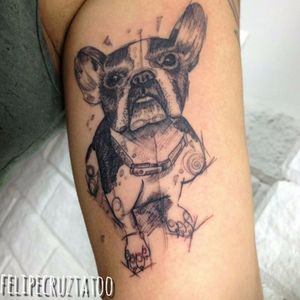 Buldogue francês fofinho por Felipe Cruz! #FelipeCruz #felipecruzztattoo #tatuadoresbrasileiros #bulldog #frenchbulldog #dogtattoo #bulldogtattoo #frenchbulldogtattoo
