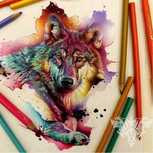 #wolf #lobo #aquarela #watercolor #vareta #ilustradorvareta #coloridos #brasil #brazil #portugues #portuguese #desenhos #drawing
