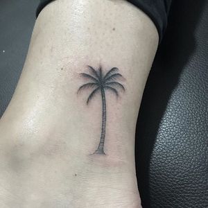 Single needle tattoo by Gabriele Cardosi #palmtree #palmtreetattoo #singleneedle #singleneedletattoo #fineline #finelinetattoo #finelinetattoos #blackandgrey #GabrieleCardosi