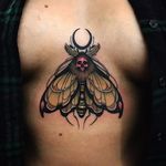 Death moth by Jason James #JasonJames #neotraditional #color #moon #skull #moth #butterfly #insect #nature #death #bones #tattoooftheday