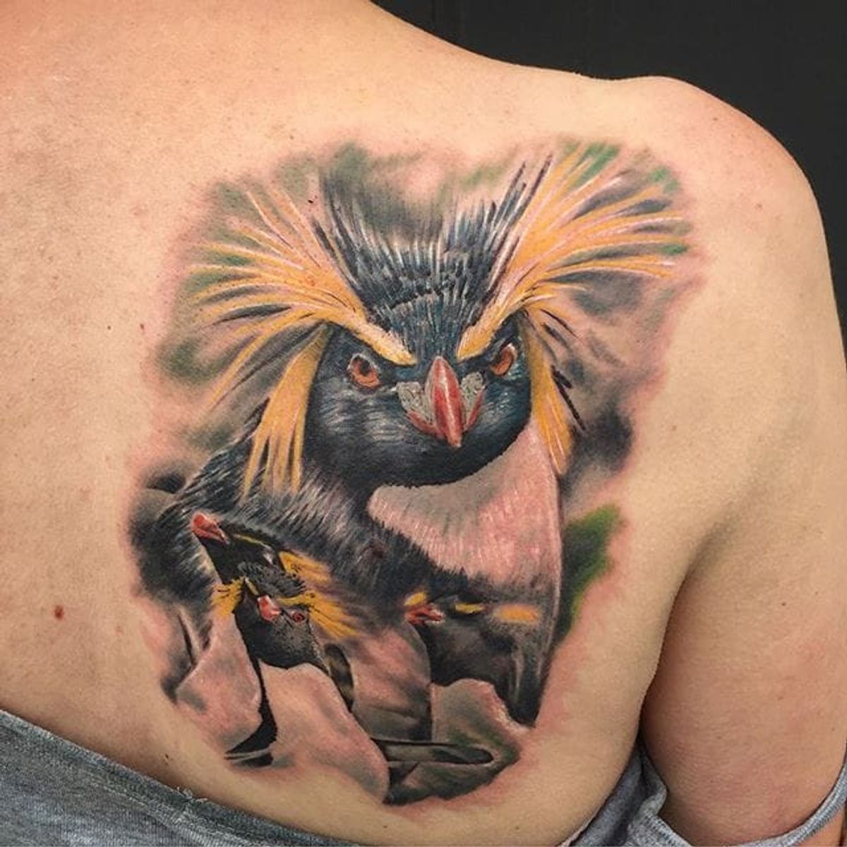 Tattoo uploaded by Stacie Mayer • Rockhopper penguins by Marc Nutley. 