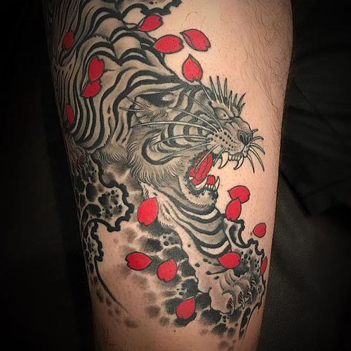 Angery tiger tattoo by Matt Beckerich #MattBeckerich #blackandgrey #Japanese #traditionaljapanese #irezumi #tiger #junglecat #cat #wildlife #fangs #cherryblossoms #petals #flower #redink #tattoooftheday