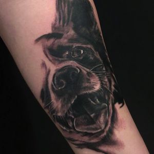 Cachorrinho por Bonny Pamella! #tatuadorasbrasileiras #tatuadorasdobrasil #tattoobr #tattoodobr #SãoPaulo #realismo #realism #realista #realistic #dog #cachorro #cão #blackandgrey #pretoecinza