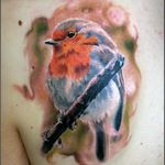 Painterly robin tattoo by Mauro Alberti. #painterly #realism #bird #colorrealism #robin #MauroAlberti