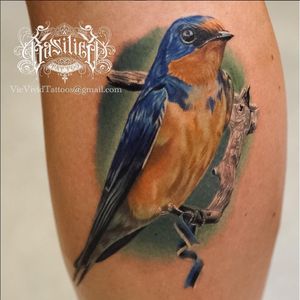 A lovely bluebird that found a piece of ribbon with which to adorn its nest via Vic Vivid (IG—vicvivid). #bluebird #color #realism #songbirds #VicVivid