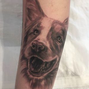 Cão por Bonny Pamella! #tatuadorasbrasileiras #tatuadorasdobrasil #tattoobr #tattoodobr #SãoPaulo #realismo #realism #realista #realistic #dog #cachorro #cão #blackandgrey #pretoecinza