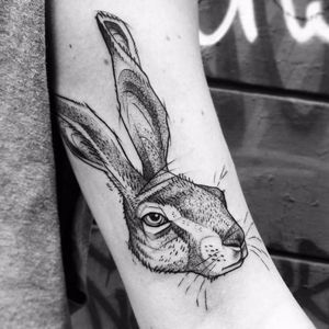 Hare tattoo by Jules Wenzel #JulesWenzel #illustrative #sketch #sketchstyle #blackwork #blckwrk #hare #rabbit
