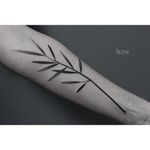 Leaves tattoo on forearm by Ilya Brezinski #Ilyabrezinski #ilyabrezinskitattoo #black #blackwork #minimalist #leaftattoo #leaves #leavestattoo #Minsk