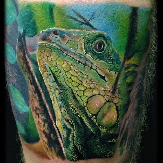 Tattoo uploaded by Robert Davies • Iguana Tattoo by Dan Lockett #iguana  #iguanatattoo #lizardtattoo #lizardtattoos #reptiletattoo #reptiletattoos  #reptile #lizard #realistic #realisticiguana #DanLockett • Tattoodo
