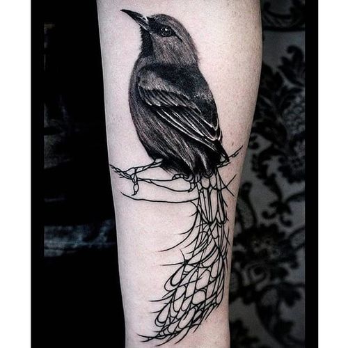 Alternative black and grey tattoo by Krzystof Sawicki. #KrzystofSawicki #blackandgrey #alternativ #sketch #bird