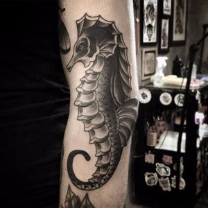 Cavalo-marinho por Filipe Tonon! #FilipeTonon #TatuadoresBrasileiros #tatuadoresdobrasil #tattoobr #tattoodobr #traditional #tradicional #oldschool #cavalo-marinho #seahorse