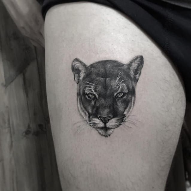 Tattoo uploaded by Alex Wikoff • Mountain Lion by Serkan Demirboğa (via  IG-serkandemirboga) #surrealism #fineline #color #blackandgrey  #SerkanDemirboga • Tattoodo