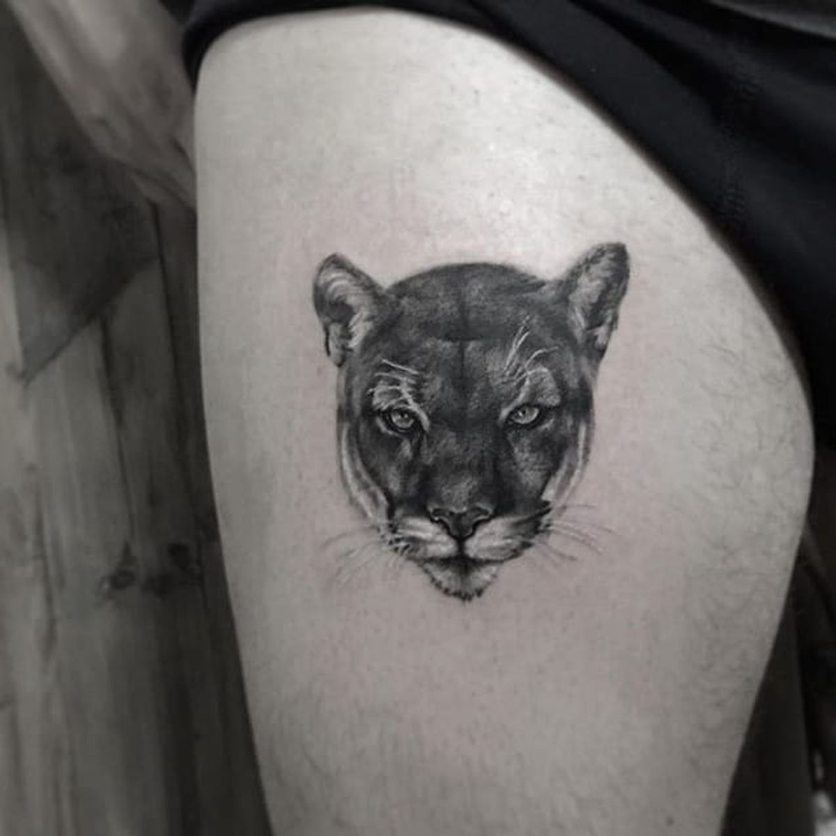 Tattoo uploaded by Alex Wikoff • Mountain Lion by Serkan Demirboğa (via ...