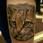 Color realism ocelot tattoo by Mat Valles. #realism #colorrealism #MatValles #cat #wildcat #ocelot