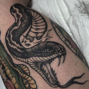 Tatuaje de cabeza de serpiente por Gianluca Fusco #snake #blackandgrey #blackandgreyart #fineline #blackandgreyartist #GianlucaFusco